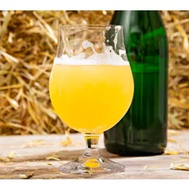 H-03610 Kölsch z dodatkiem bzu czarnego 21 l