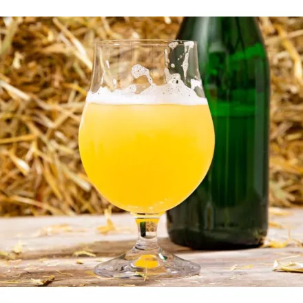 H-03610 Kölsch z dodatkiem bzu czarnego 21 l