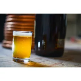   H-04010 Zestaw receptur „Washington” Centennial Smash IPA