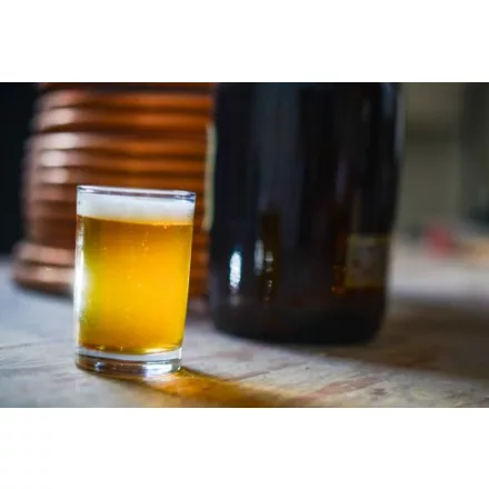 H-04010 Zestaw receptur „Washington” Centennial Smash IPA