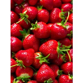 H-04510 „Strawberry” Strata SMaSH