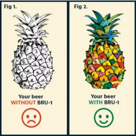 H-04310 „Pineapple” BRU-1 SMaSH