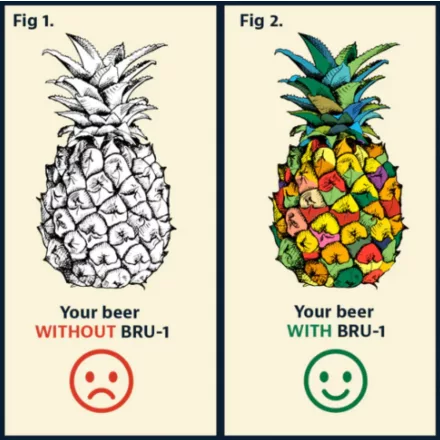 H-04310 „Pineapple” BRU-1 SMaSH