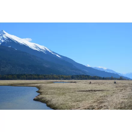 H-04910 „Wishram” Chinook SMaSH IPA