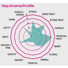 H-05110 „Ambrosia” Superdelic SMaSH IPA