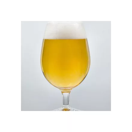 H-05810 „Original” German Pils / Niemieckie Pils – 21 l