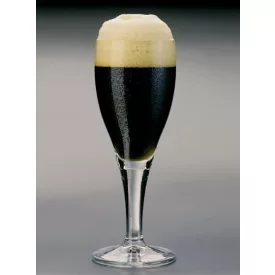 H-06540 Schwarzbier 21L – YEASTFLOW