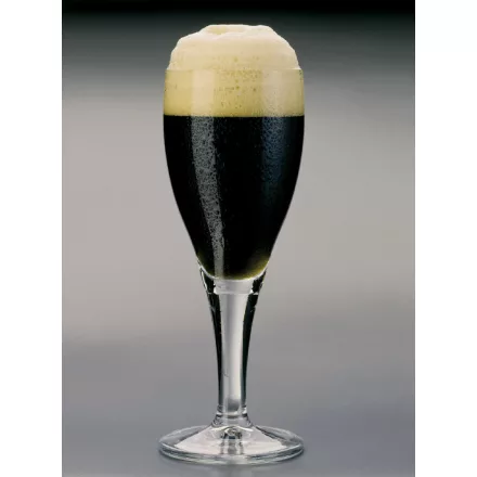 H-06540 Schwarzbier 21L – YEASTFLOW